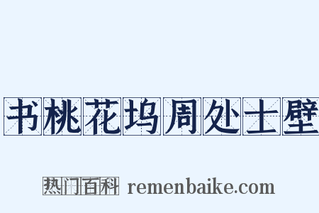 书桃花坞周处士壁是什么意思的图片
